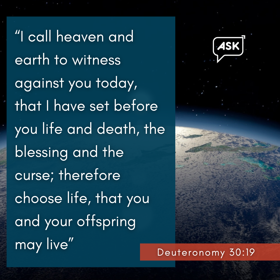 Bible Verse: Deuteronomy 30:19