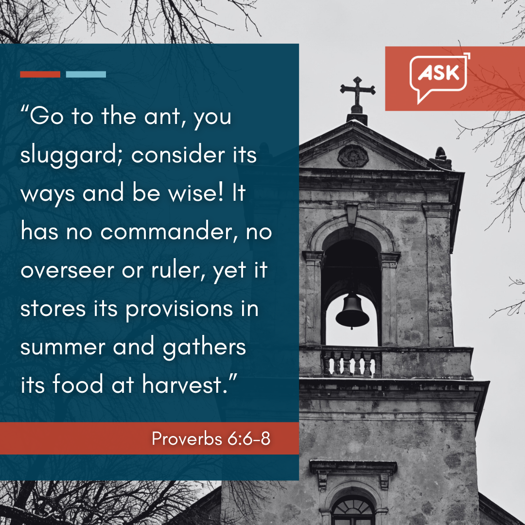 Bible Verse: Proverbs 6:6-8