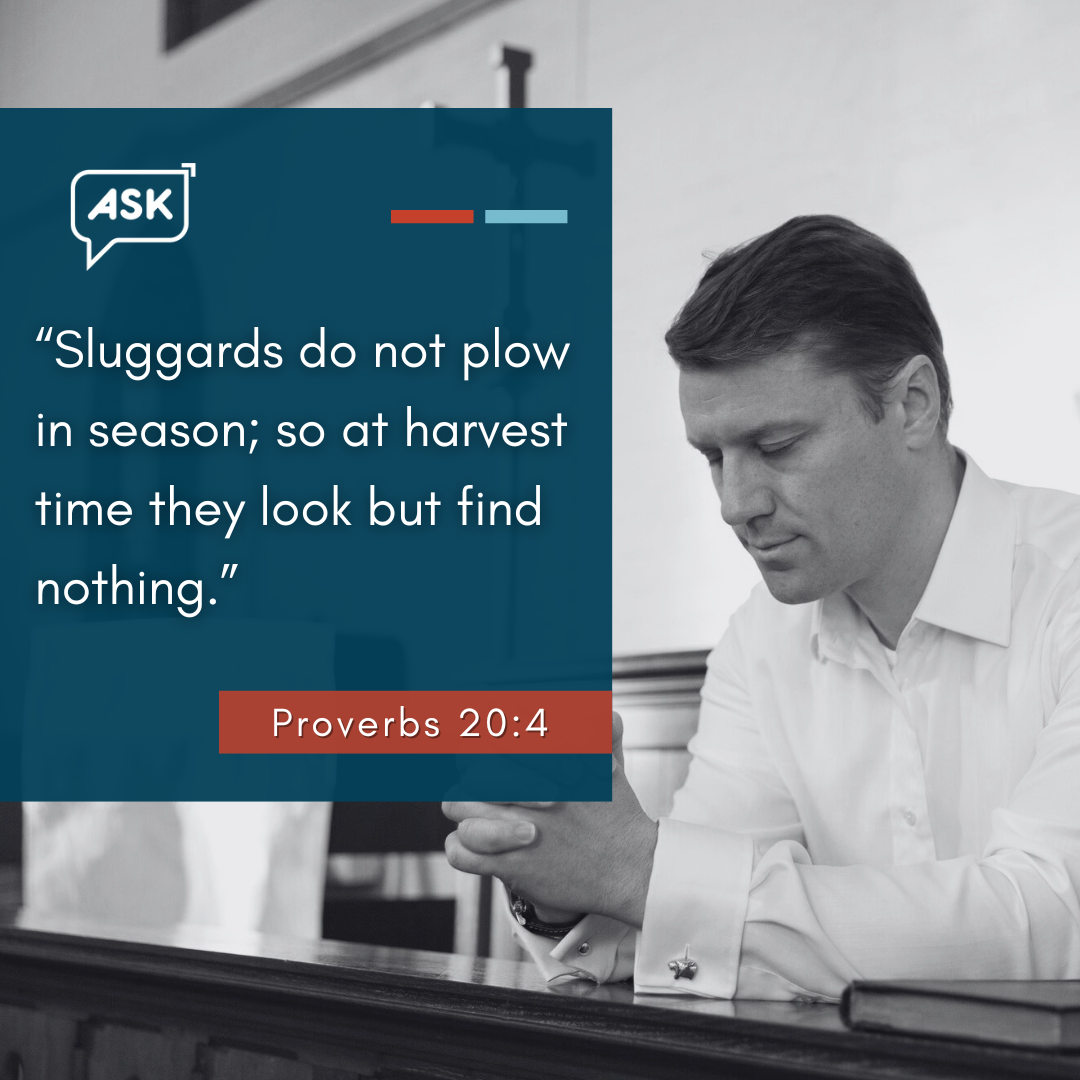 Bible Verse: Proverbs 20:4