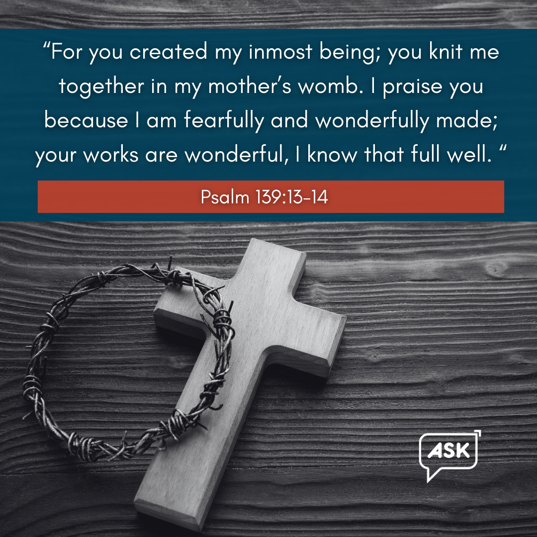 Bible Verse: Psalm 139:13-14