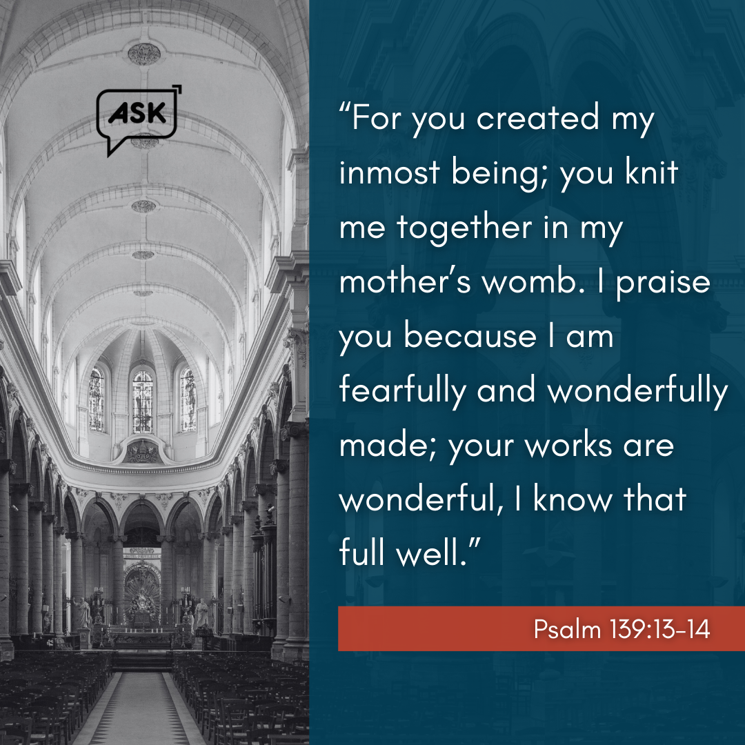 Bible Verse: Psalm 139:13-14