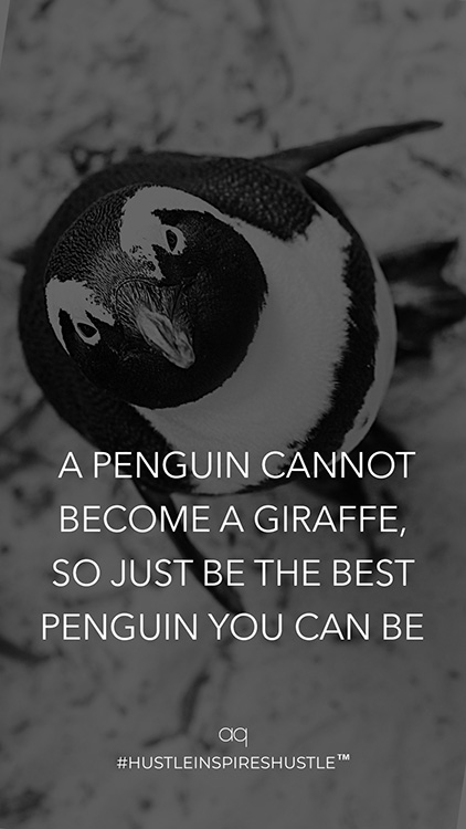 penguin cannot become a giraffe gary vee quote