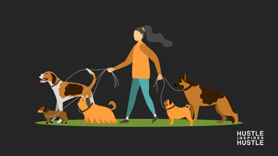 dog walking business