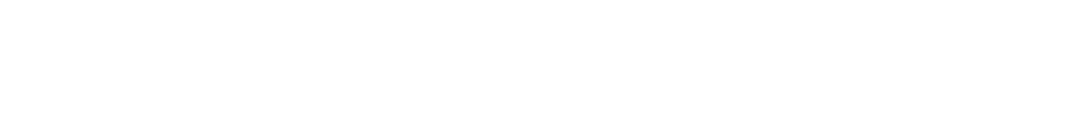 Aerotalon Aviiation Software