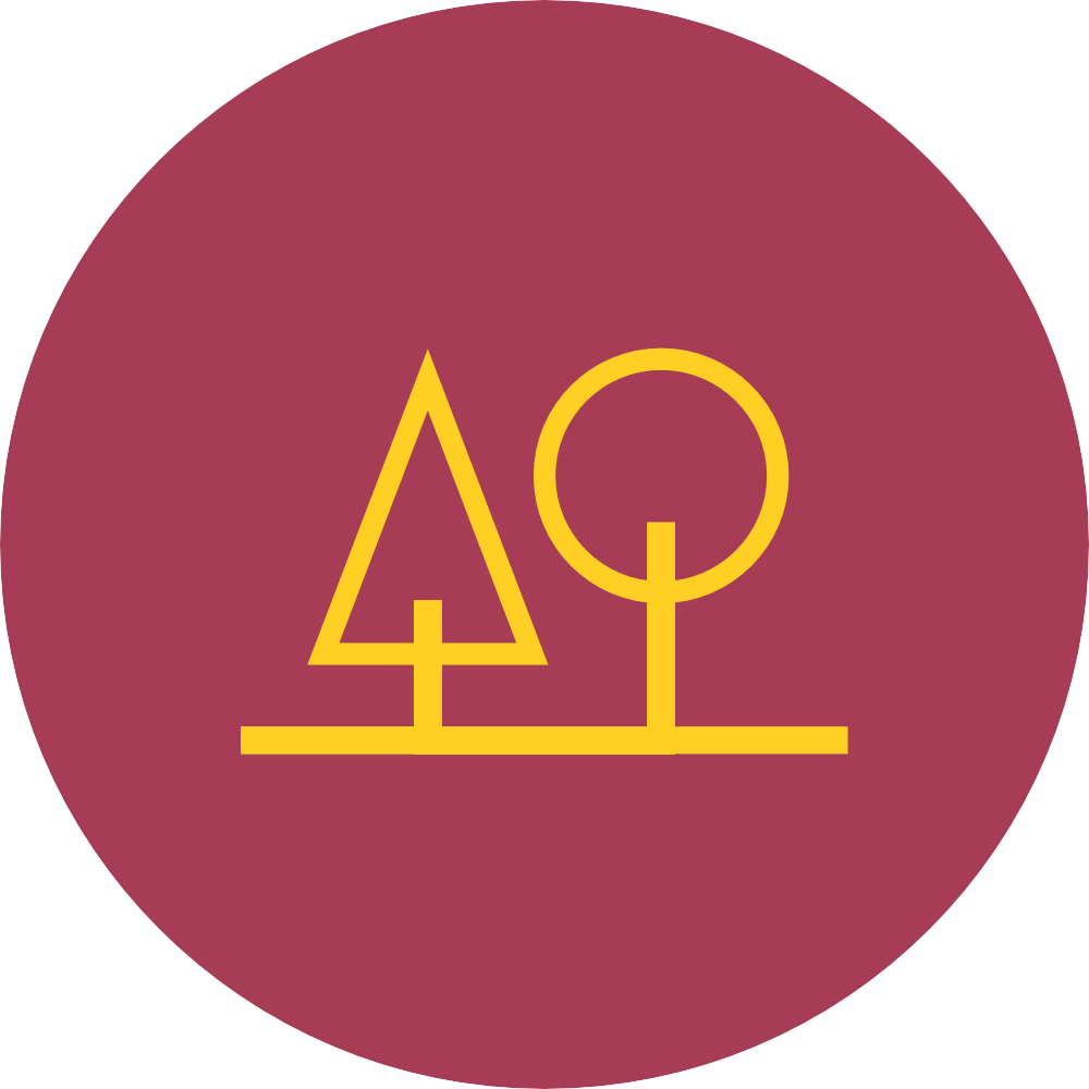 Icon Grundstück