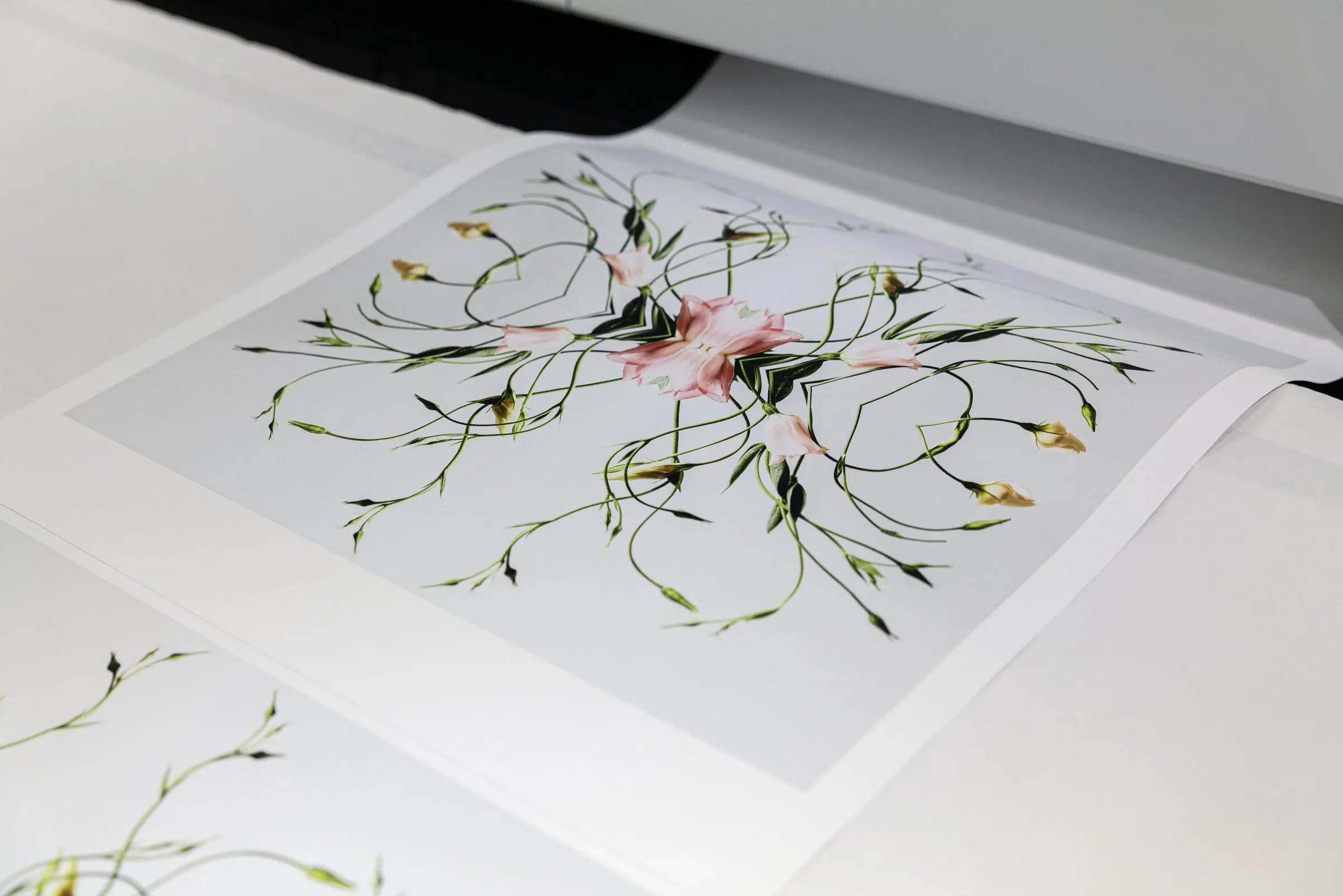 Erin Derby, 'No. 44' canvas printing