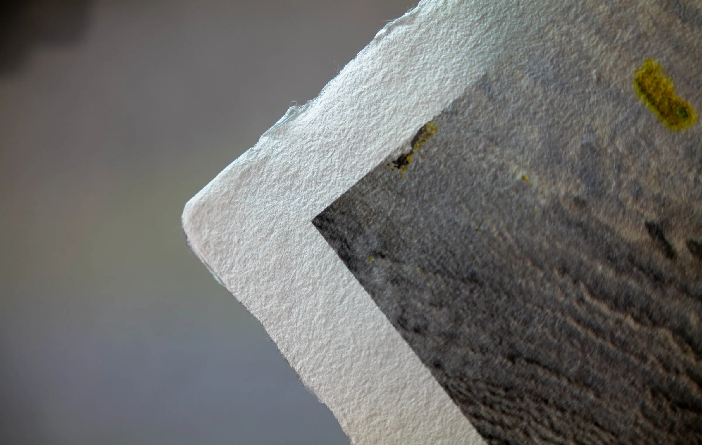 Rice Paper printing - Ilford Tesuki Washi Echizen print