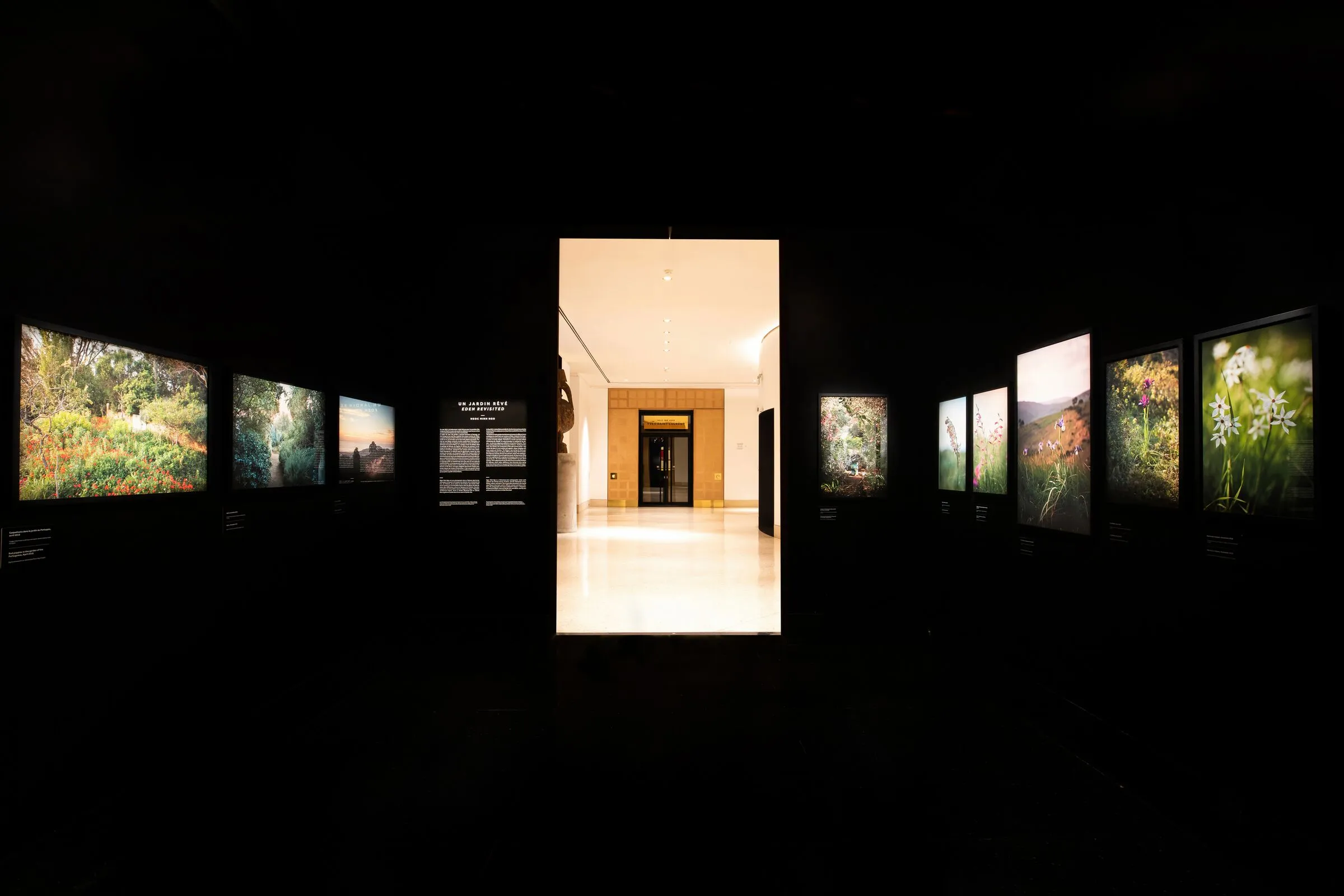 Ngoc Minh Ngo, 'Un Jardin Rêvé', at the YSL Museum