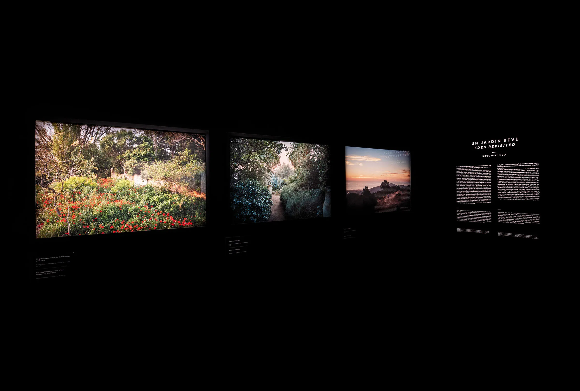 Ngoc Minh Ngo, 'Un Jardin Rêvé', at the YSL Museum