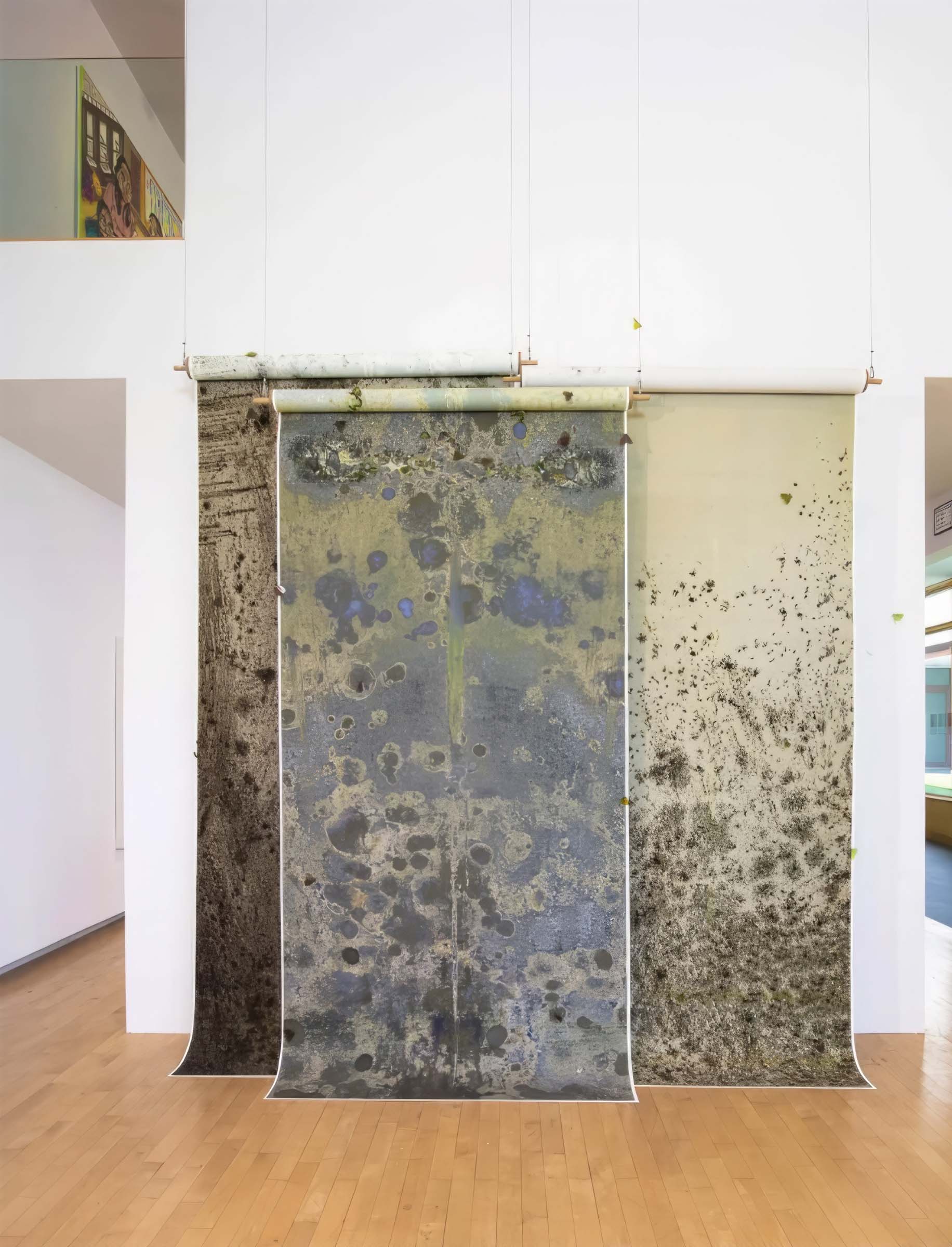 Reeva Potoff, at the Aldritch Museum