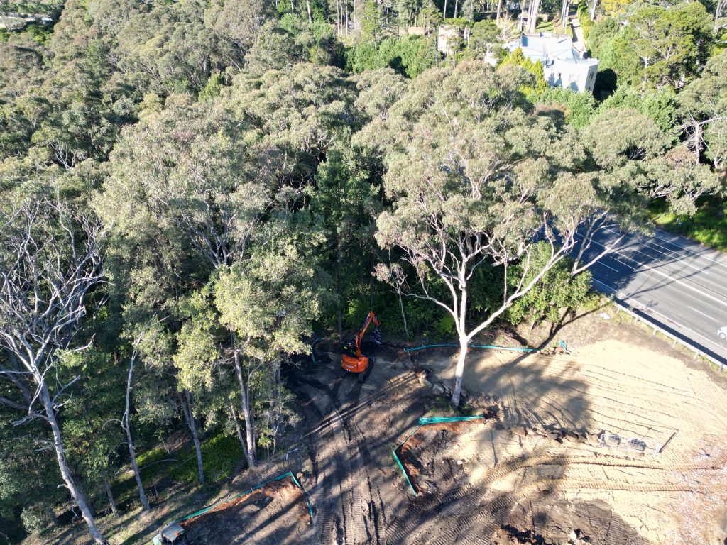 How to Prepare a Sydney Property for Clearing: A Practical Guide for Landowners