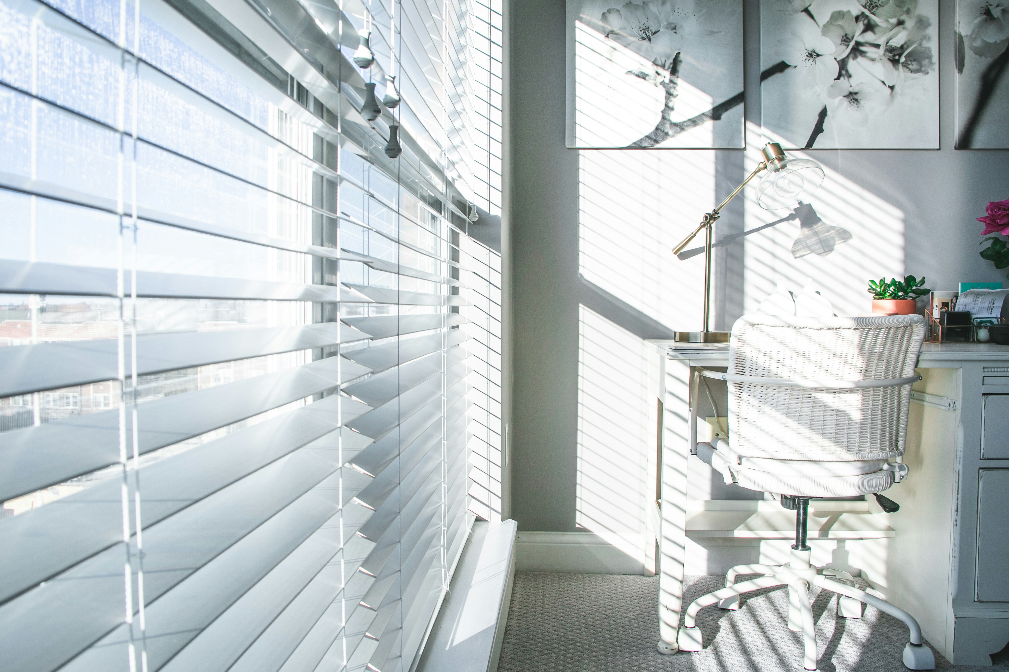 How to Choose the Right Blinds for Your Nepean Home: A Local's Guide