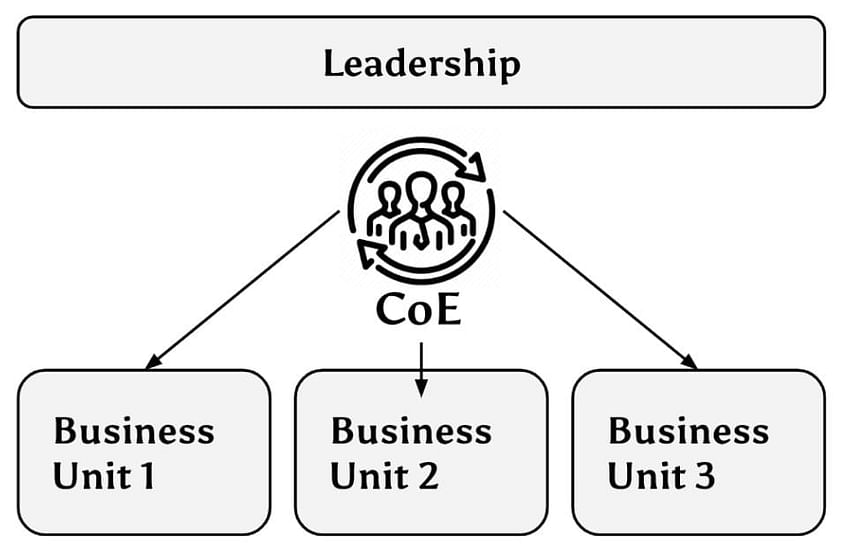 CoE leadership diagram