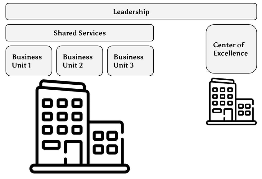 leadership of CoE within an orginzation