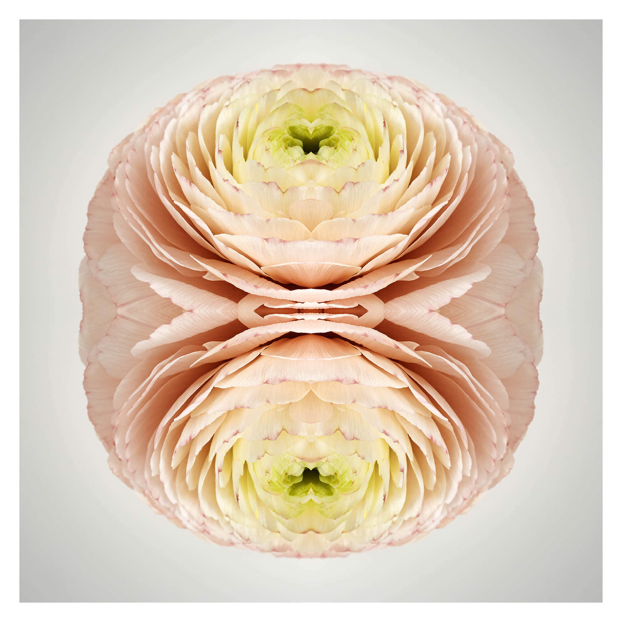 No. 199 — Erin Derby