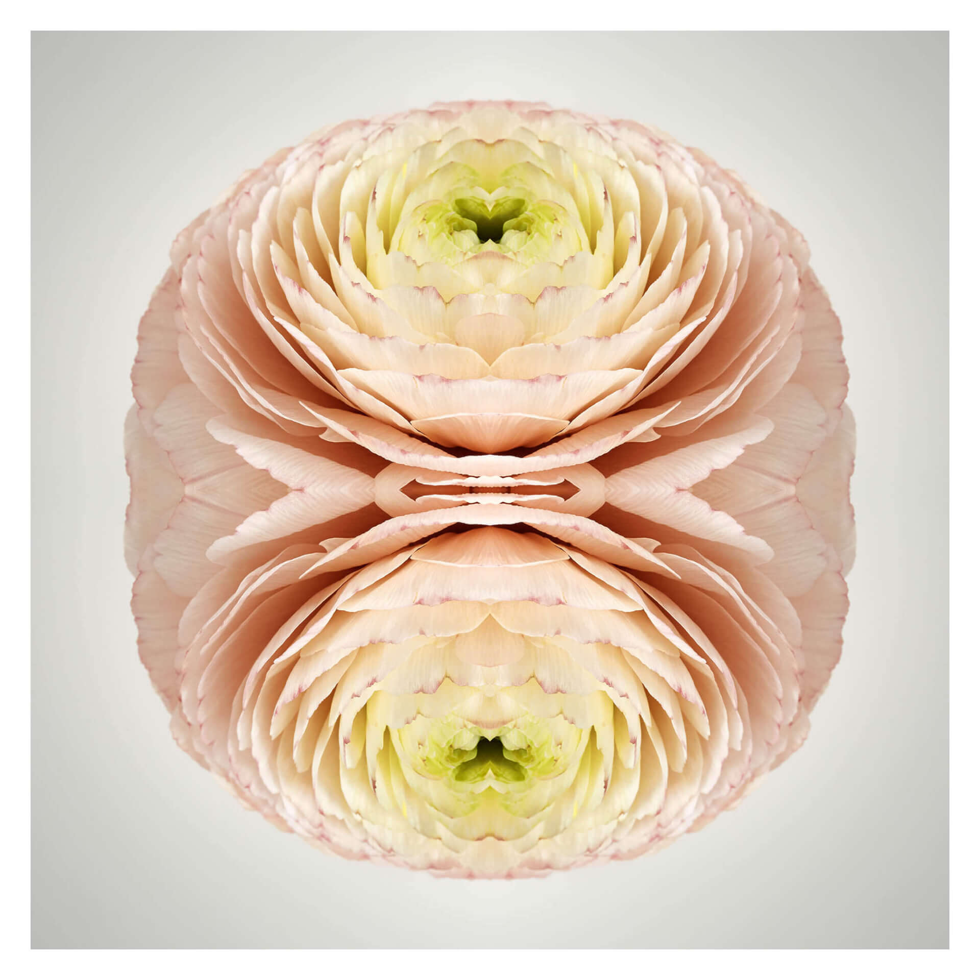 No. 199 — Erin Derby