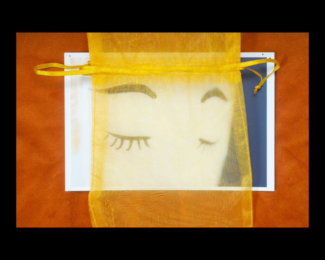 Fred Weber, 2022, film photograph and digital collage