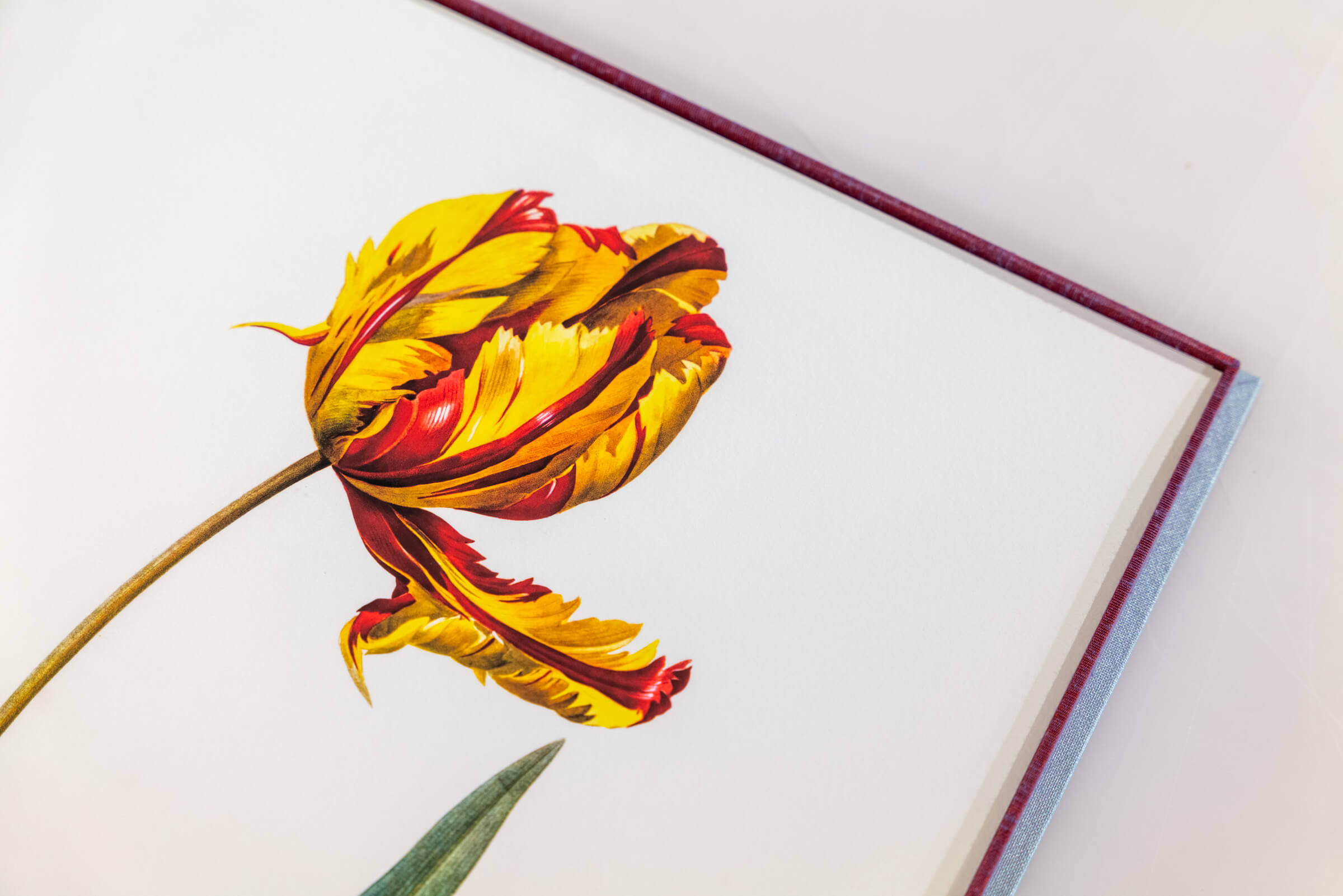 Close-up detail of Vanessa German's print, showcasing the bright yellow flower and its petal details