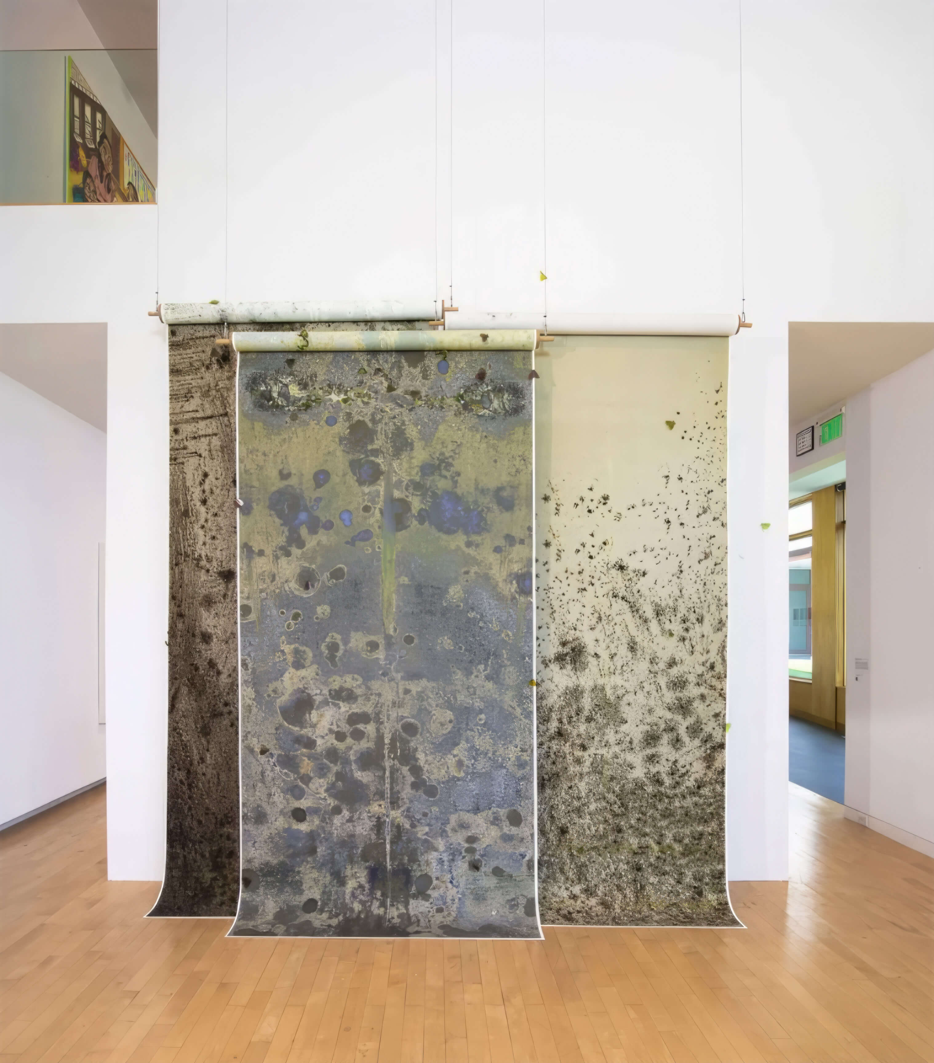Installation view of '8Veil & B&G mold & GreyStucco', where scrolls lifting 8-foot long prints of grey mold and texture are suspended from the ceiling