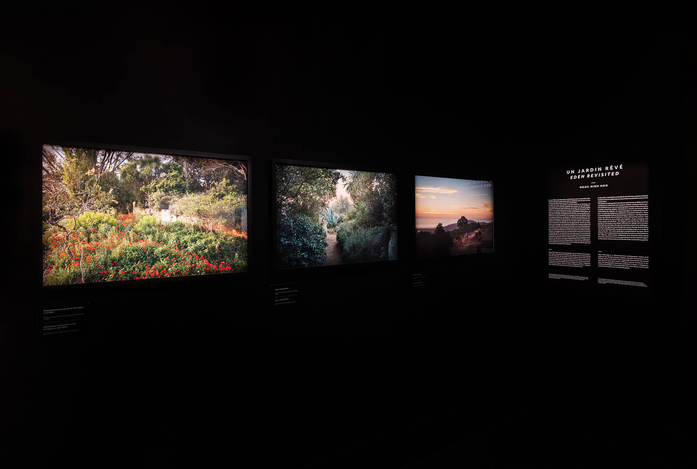 Photographs of garden landscapes, showing trees, bushes, flowers, illuminated by backlight