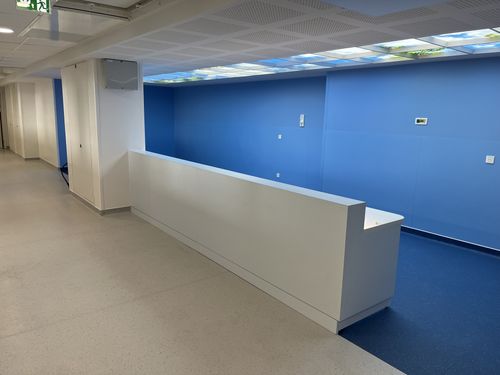 Projet menuiserie Legendre & Lureau - CHU Neurologique R+2