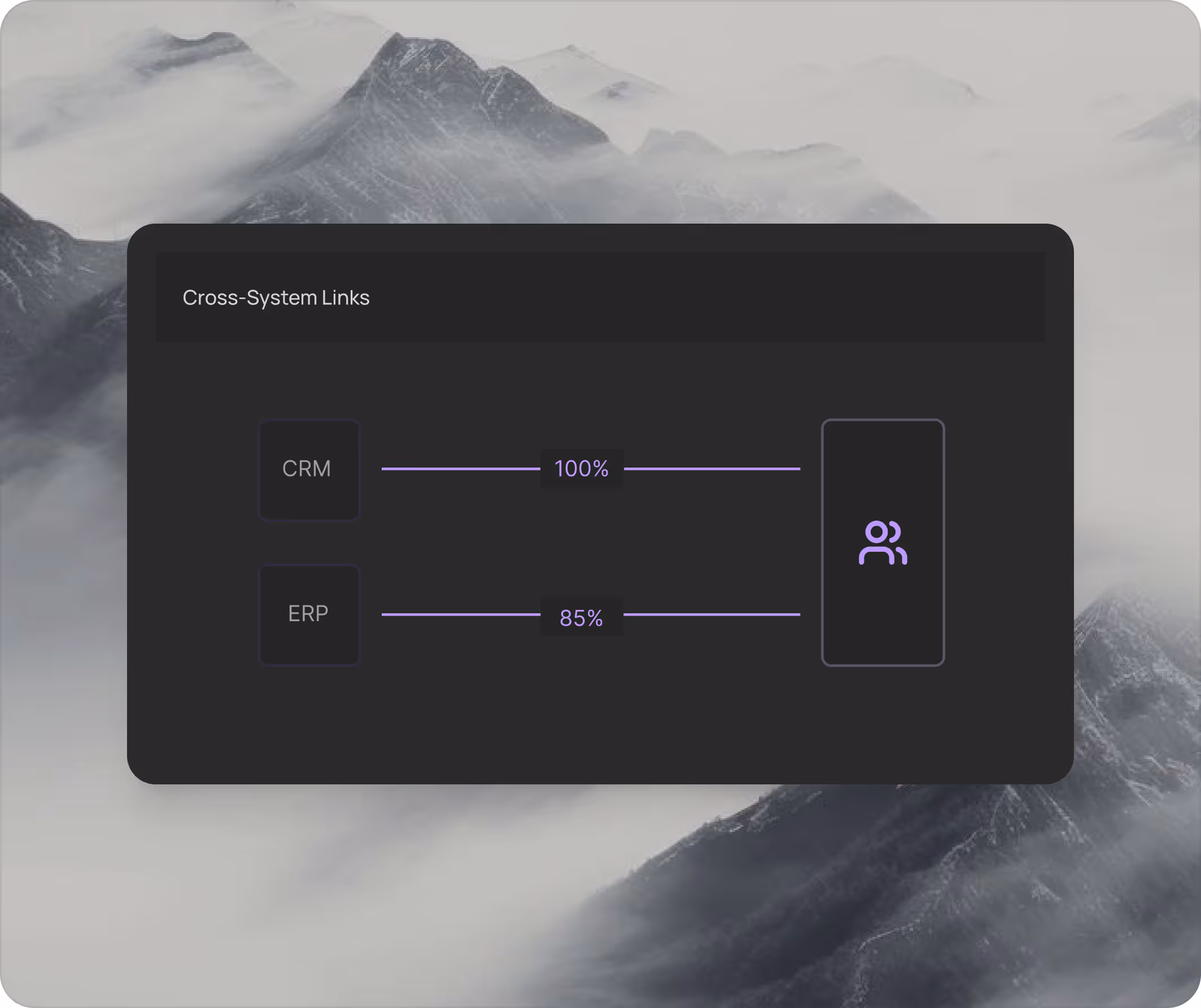 MatchLogic entity resolution showing cross-system links between CRM, ERP, and billing records with field-level completeness analysis