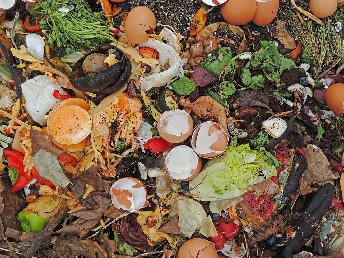 Export von Bioabfällen: Warum das keine Lösung für die Kreislaufwirtschaft ist.