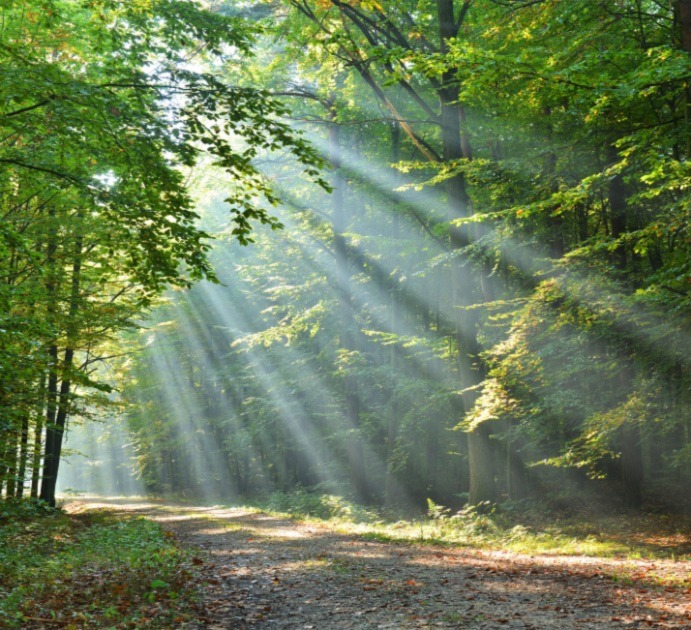 Accompagnement des organisations a impact positif 2