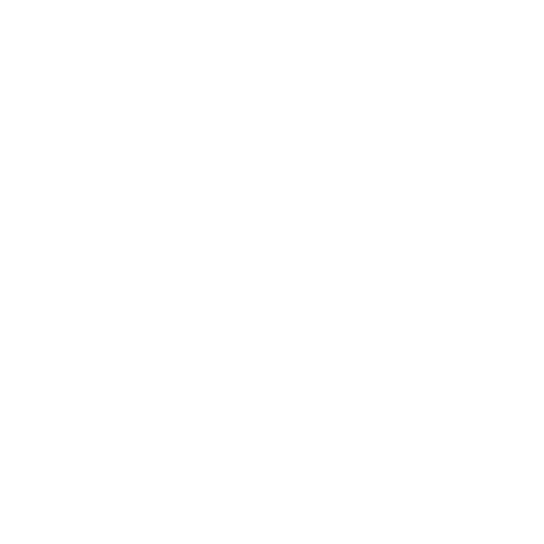 InstaKin
