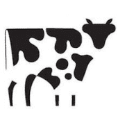 Copper Cow Coffee