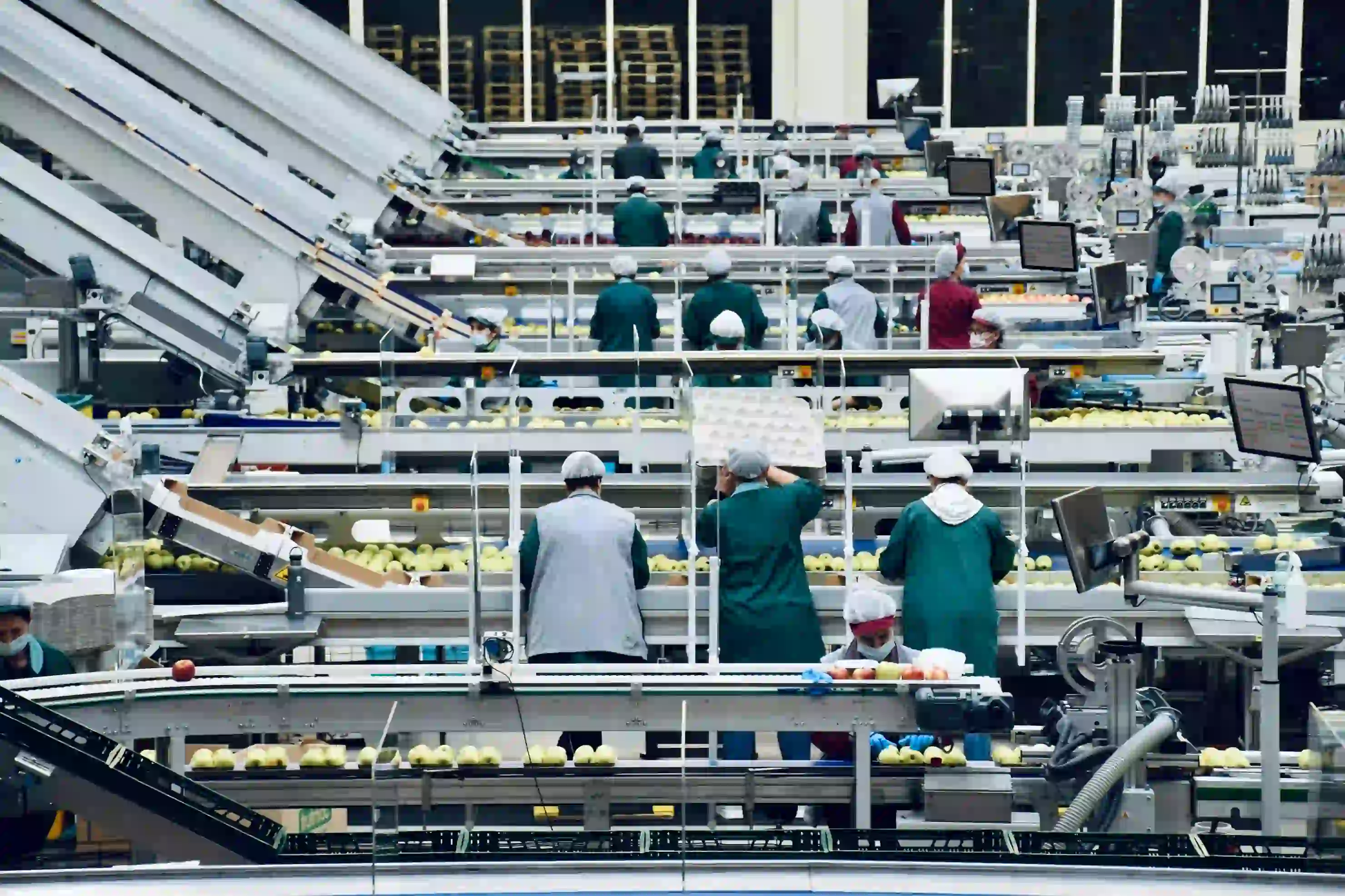 Workers in hairnets sorting apples on a large automated fruit processing line in a factory.