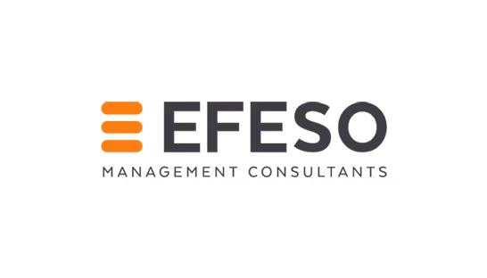 EFESO Consulting Logo