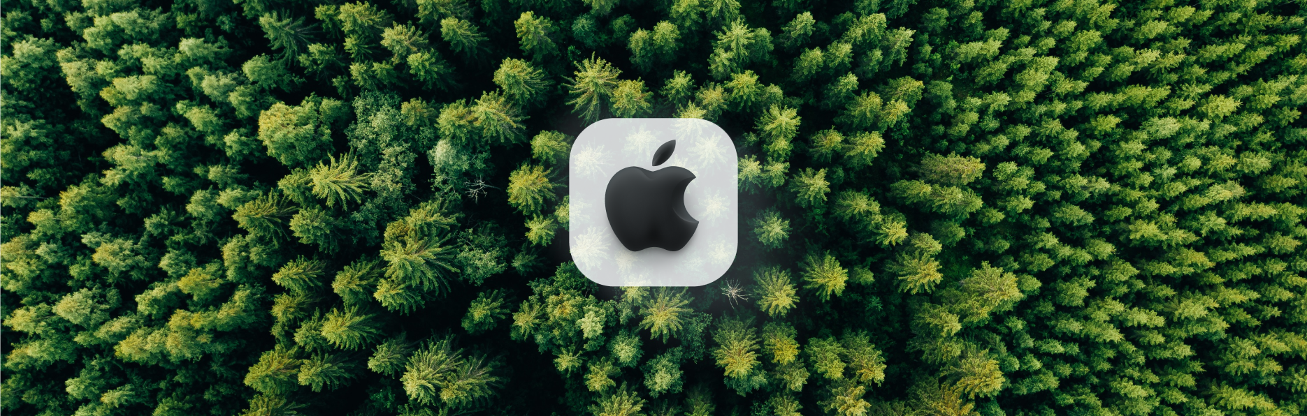 A beautiful wood drone picture with apple's logo in the center
