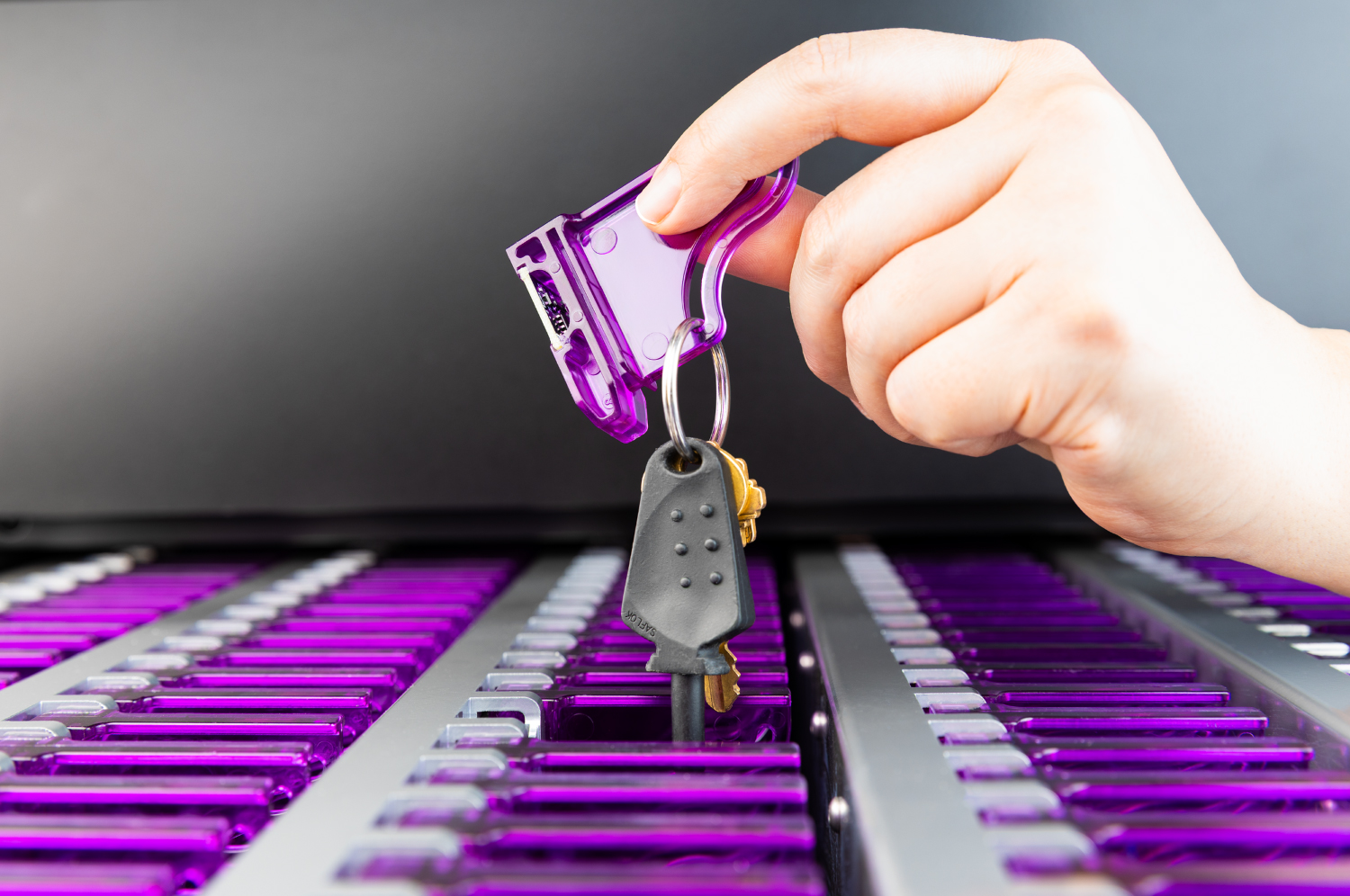 stolen cars from dealership