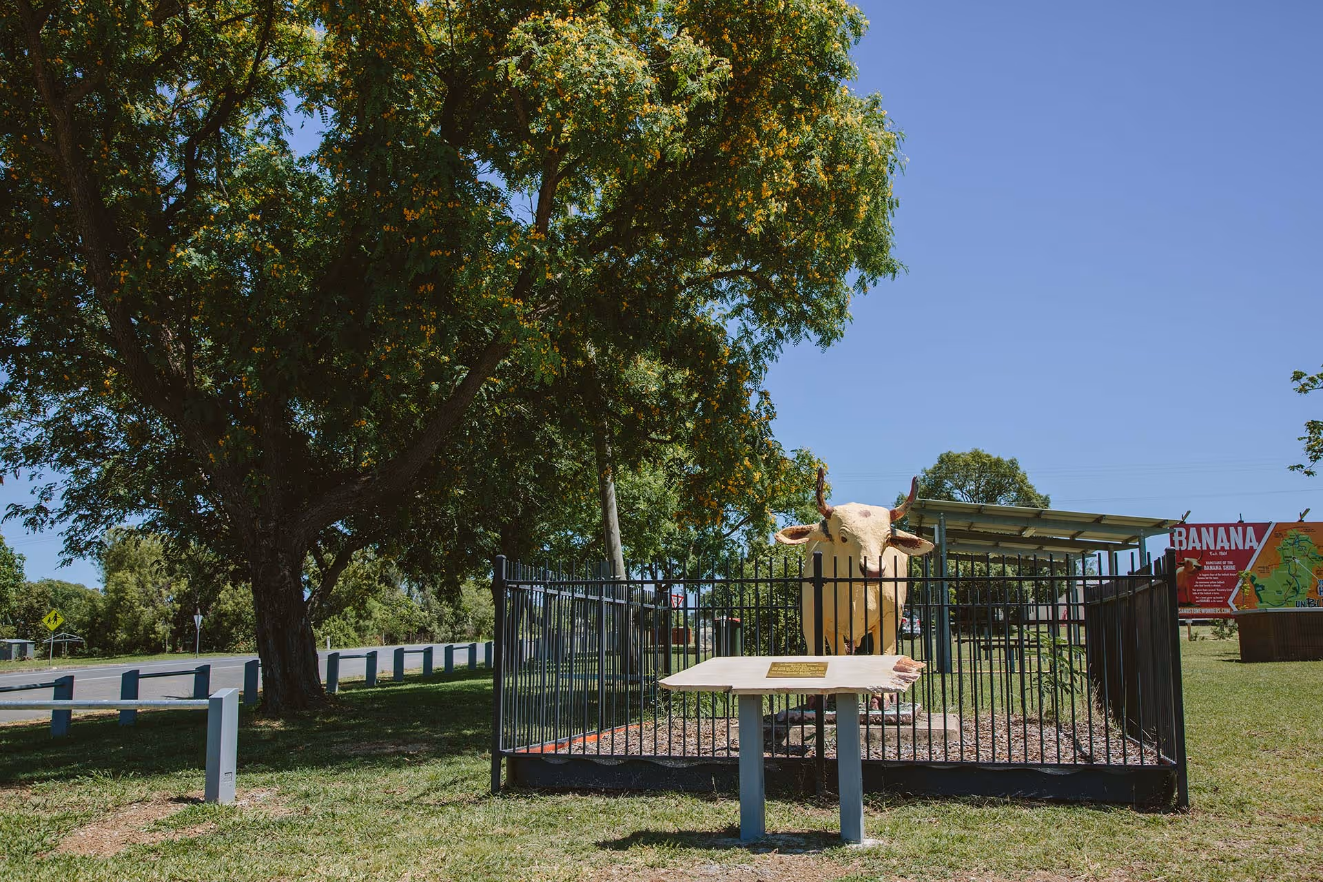 A yellow bull statue in a local park setting