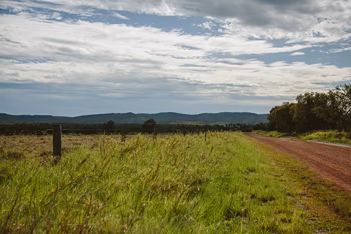 Banana Range paddock green grass and dirt road