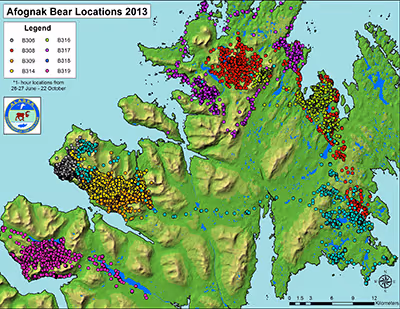 Map of Afognak Island showing bear locations in 2013 marked by colored dots with a legend identifying bear IDs B305 to B319, indicating 15-hour tracking from 26-27 June to 22 October.