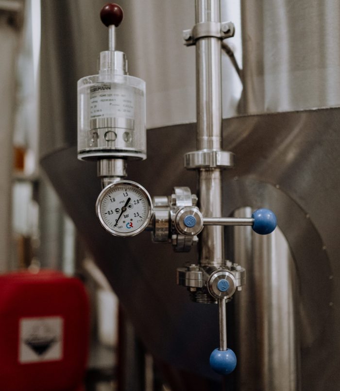 pexels-cottonbro-5532841