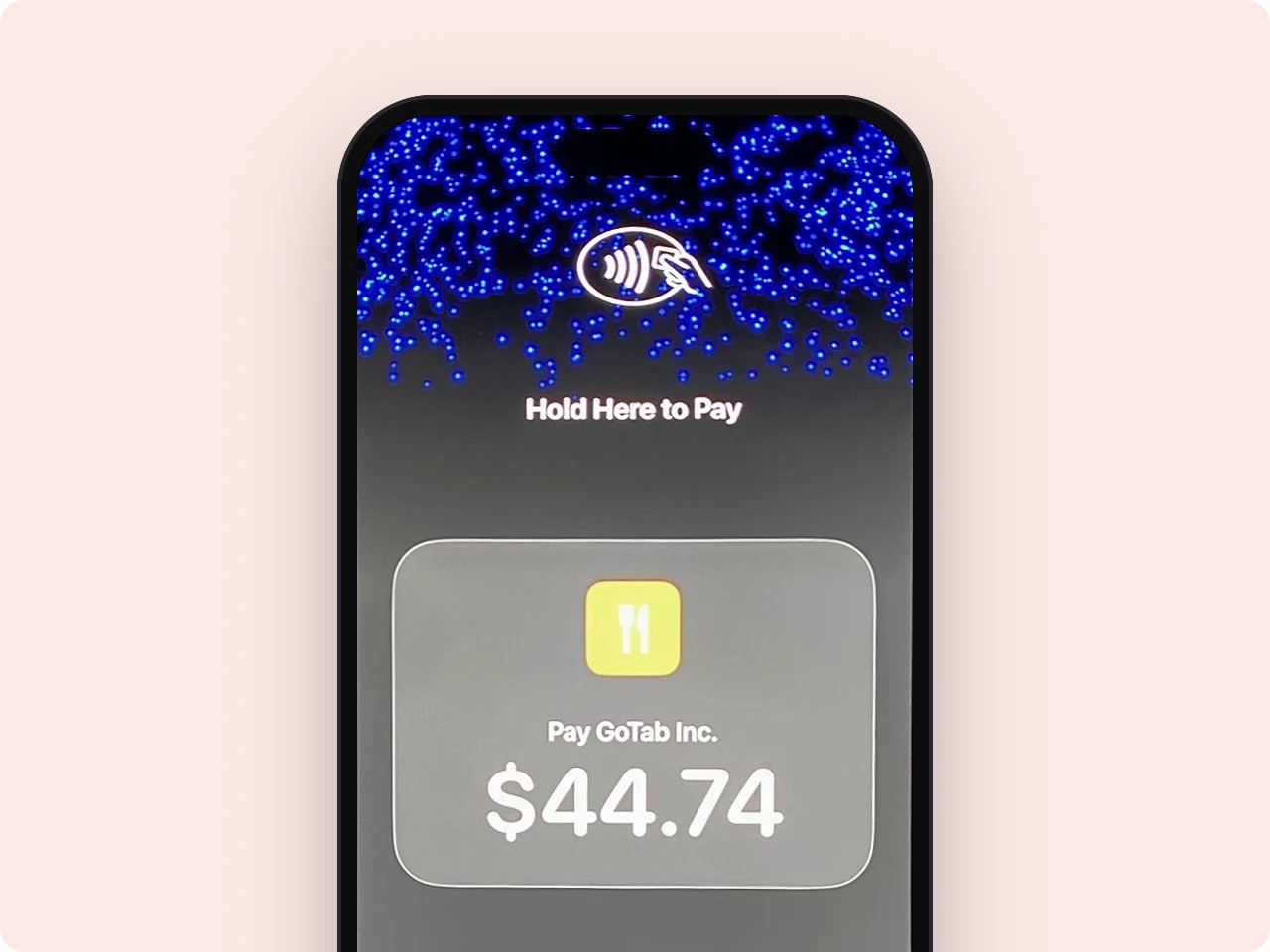 Hold Here to Pay screen showing a GoTab payment of $44.74