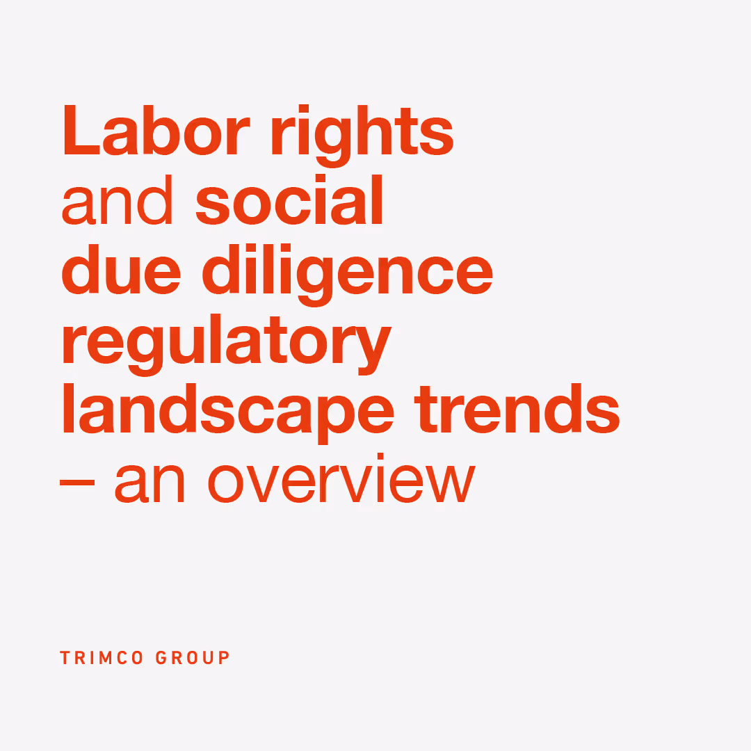 Labor rights violations and social due diligence regulatory landscape trends