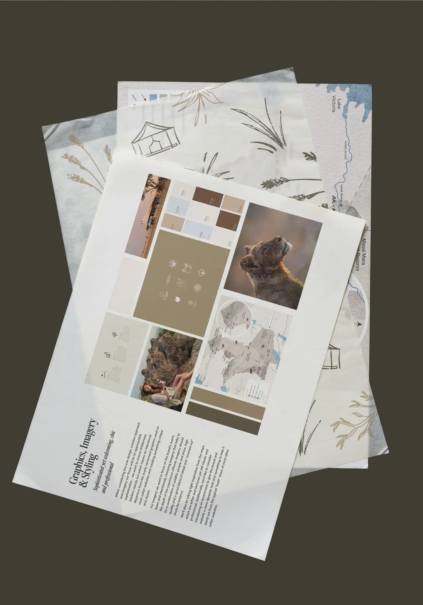 Coloful mood board featuring a map, a lion cub photo, color swatches, nature symbols, a woman sitting on rocks, and text about graphics, imagery, and styling.