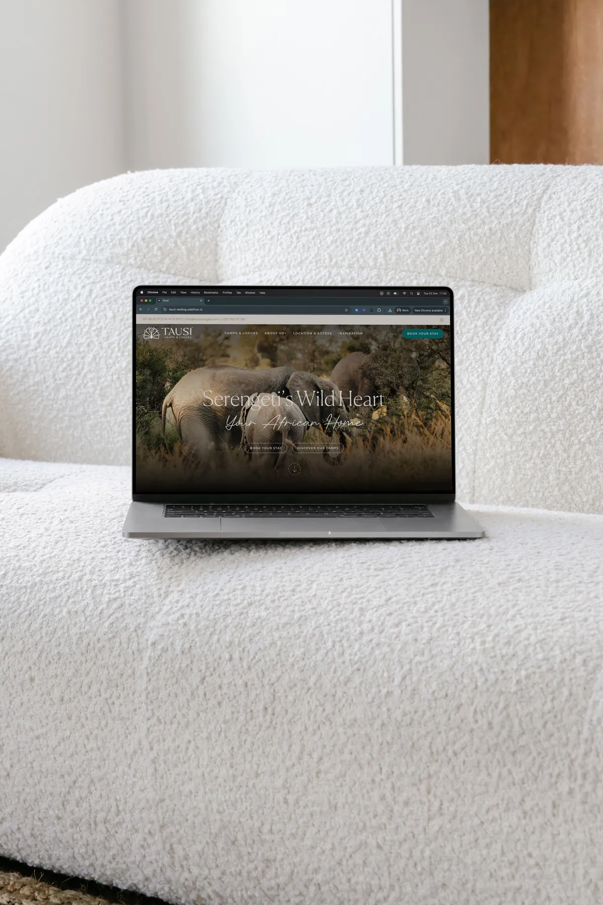 Open laptop displaying a Safari browser featuring a Serengti's Wild Heart wildlife website, placed on a white textured sofa.