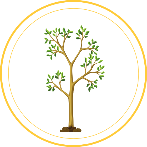 exalt consei la rochelle pack evolution