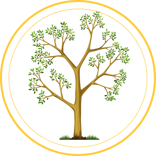 exalt consei la rochelle pack premium