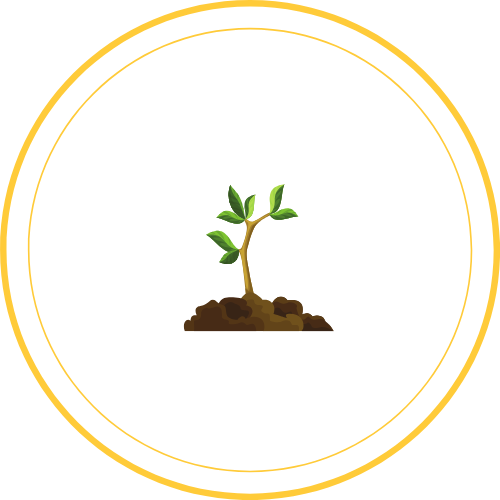 exalt consei la rochelle pack essenteil