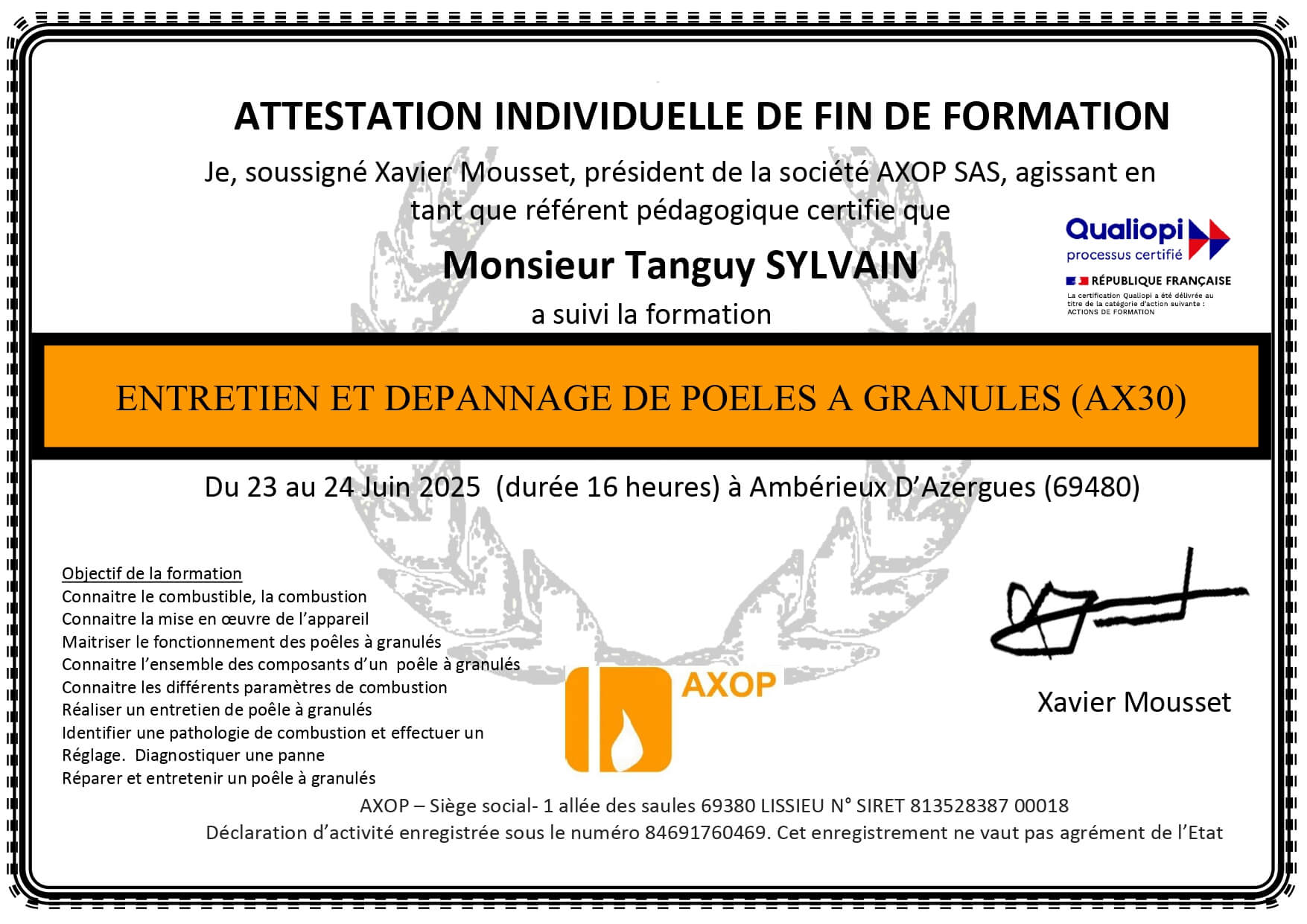 entretien annuel de poêles à granulés