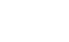 CTT weißes Logo