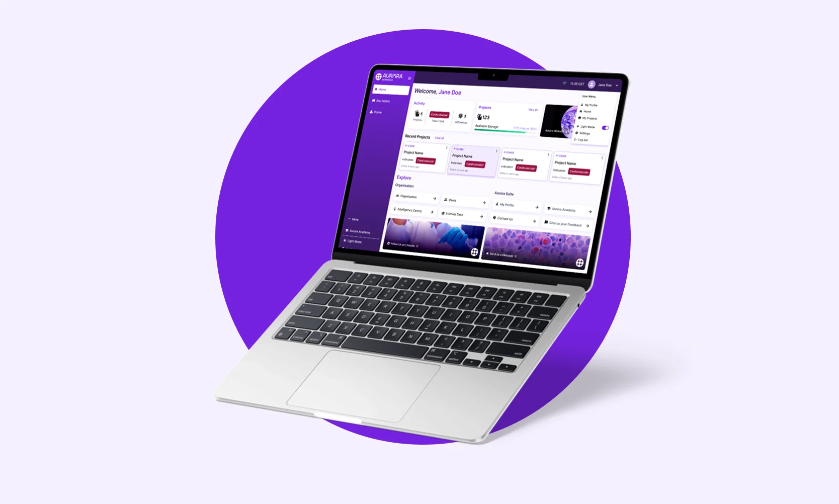 Aurora Analytica Projektrahmen