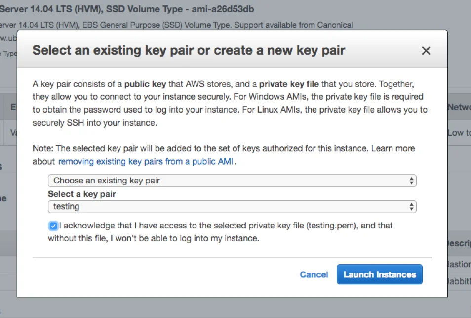 Launch instance