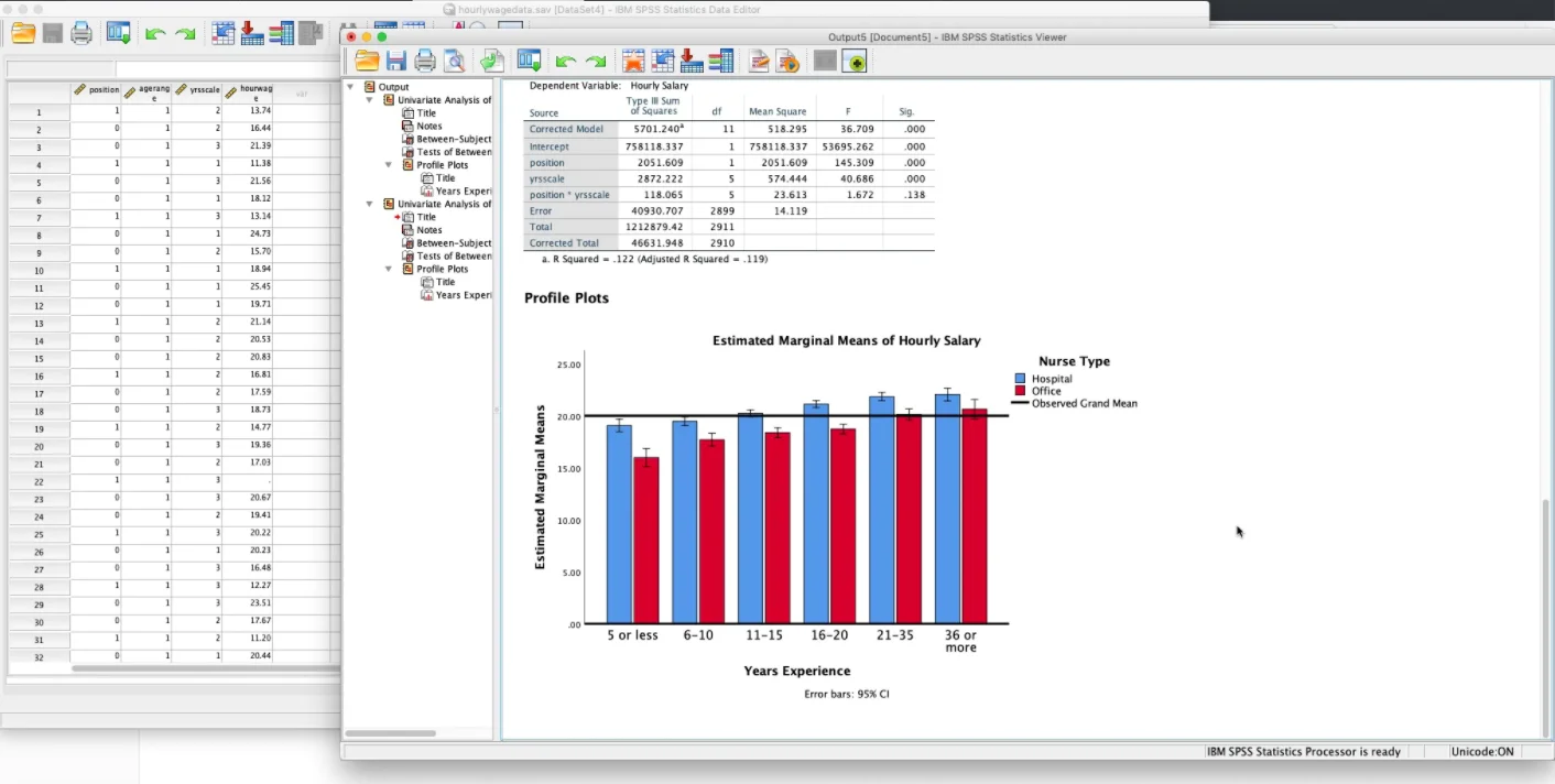 IBM SPSS